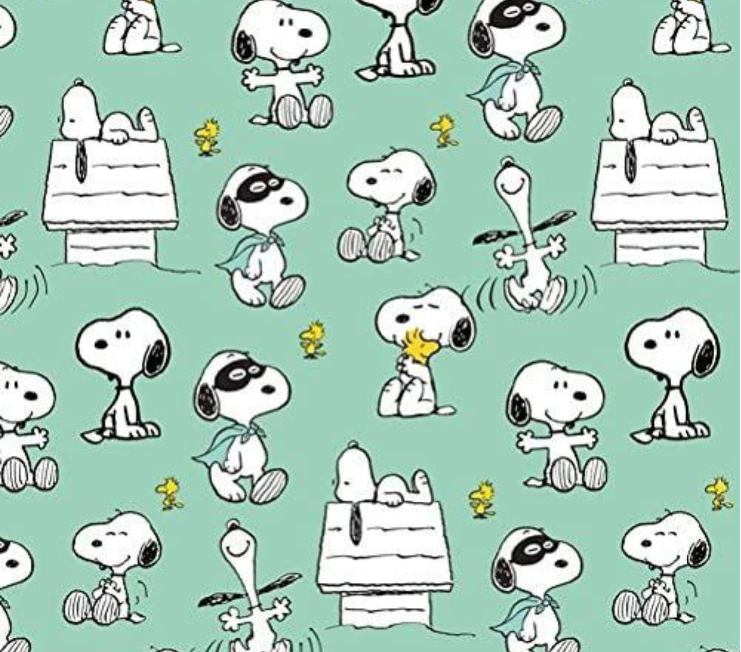 Snoopy 20oz Tumbler S3