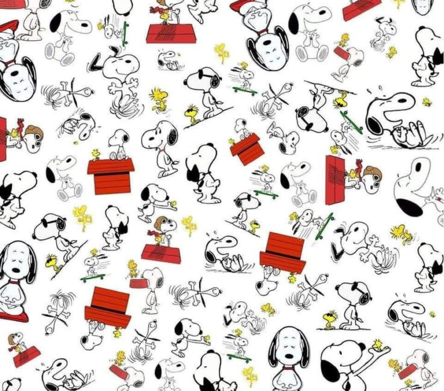 Snoopy 20oz Tumbler S2